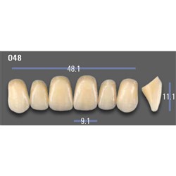 VITAPAN EXCELL Classical Upper Anterior Shade A3 Mould O48