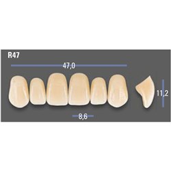 VITAPAN EXCELL Classical Upper Anterior Shade A3 Mould R47