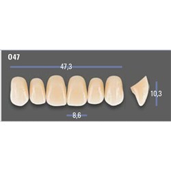 VITAPAN EXCELL Classical Upper Anterior Shade B4 Mould O47