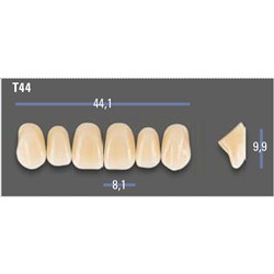 VITAPAN EXCELL Classical Upper Anterior Shade B4 Mould T44