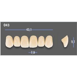 VITAPAN EXCELL Classical Upper Anterior Shade C1 Mould O43
