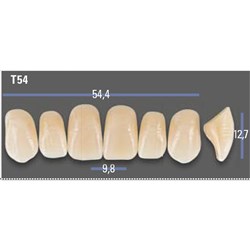 VITAPAN EXCELL Classical Upper Anterior Shade C2 Mould T54