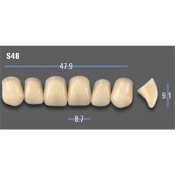 VITAPAN EXCELL Classical Upper Anterior Shade C3 Mould S48