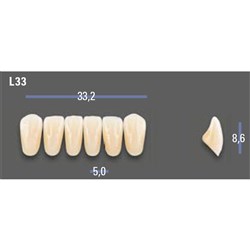 VITAPAN EXCELL Classical Lower Anterior Shade C4 Mould L33