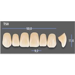 VITAPAN EXCELL Classical Upper Anterior Shade C4 Mould T50