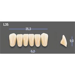 VITAPAN EXCELL Classical Lower Anterior Shade D4 Mould L35